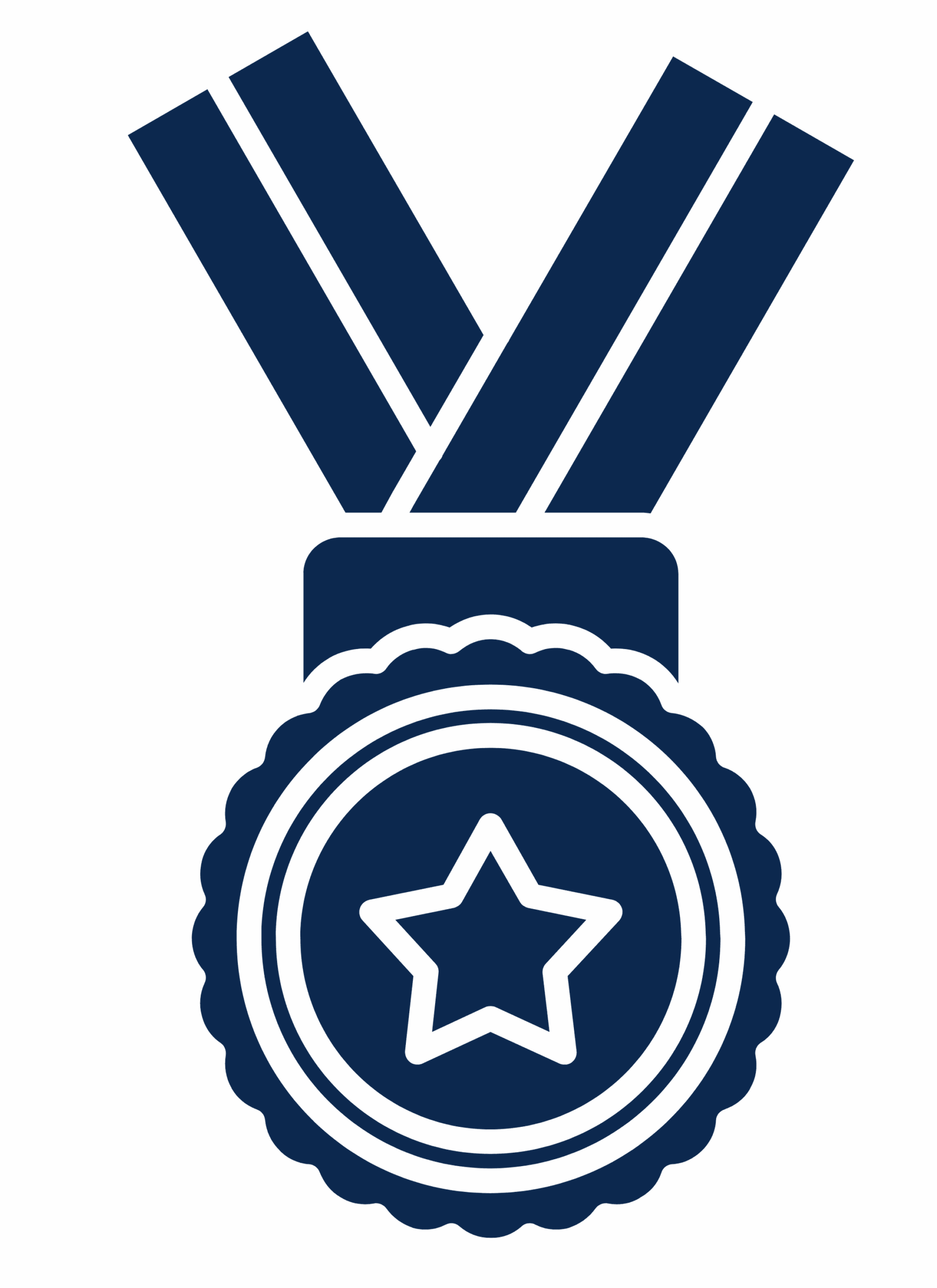 medal icon