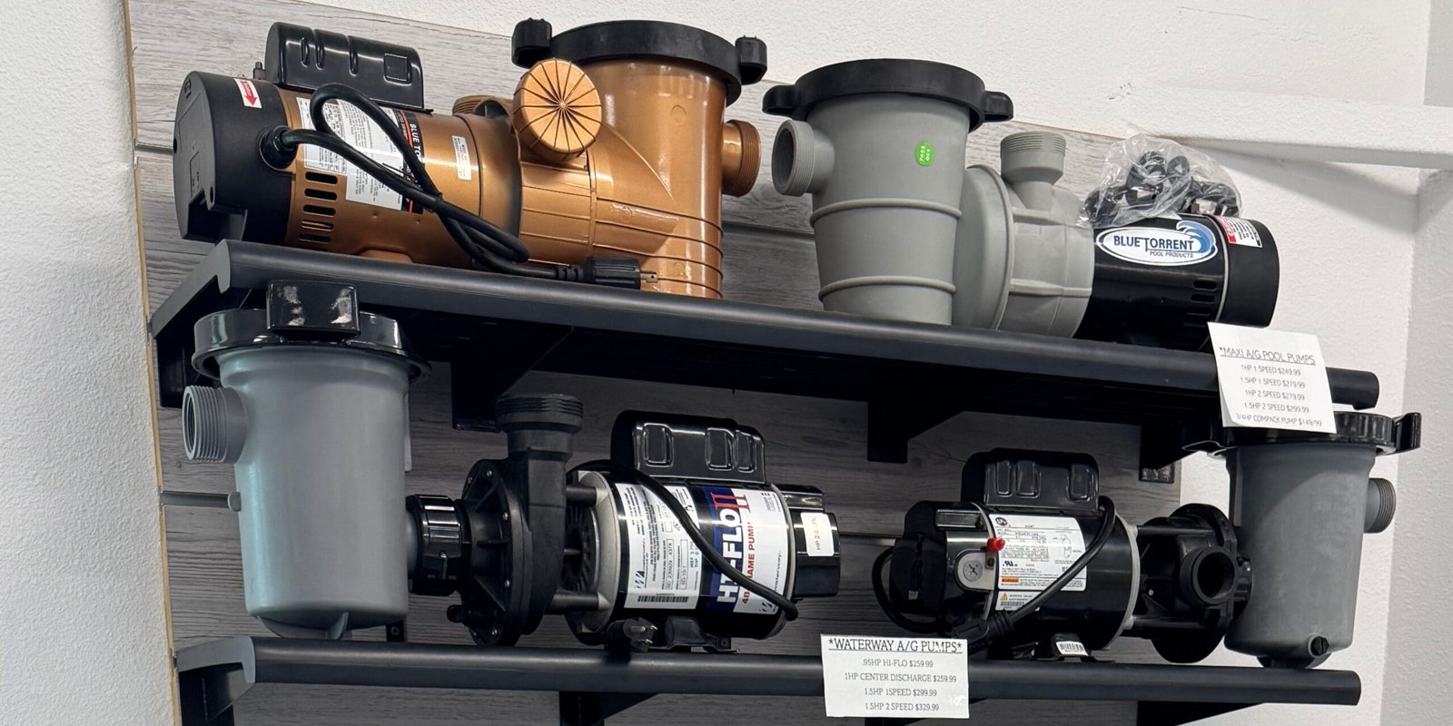 Pool pumps and motors