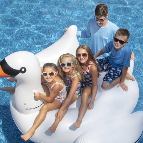 Pool Fountains, Accessories, Games, Floats, & More At Mr. Pool of Pasco & Crystal River 6 kids on a swan pool floatie